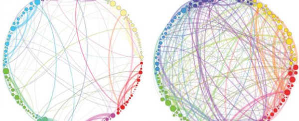 This is your brain on magic mushrooms