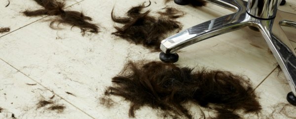 Could human hair be used to clean up oil spills?