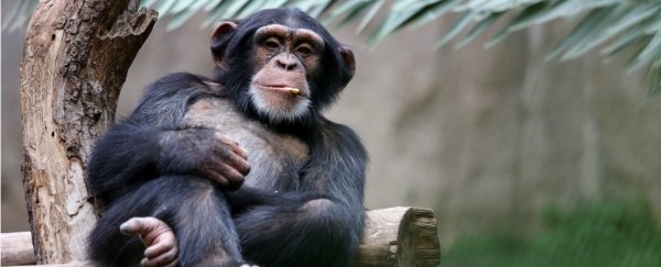 How to slam dunk creationists when it comes to the theory of evolution