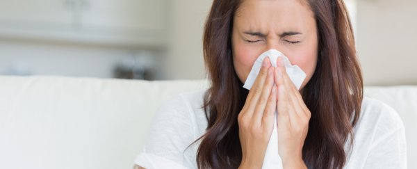 Your environment, more than genetics, determines your immune health