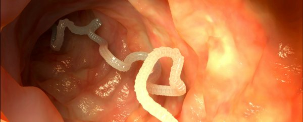 A man has contracted cancer from a tapeworm for the first time ever