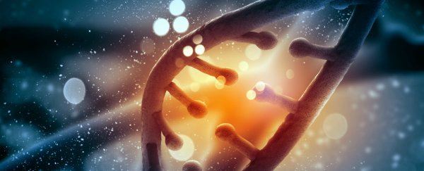 Poor lifestyle choices can be passed onto future generations through DNA