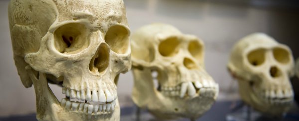 Finally, there are more young Americans who 'believe' in evolution than creationism
