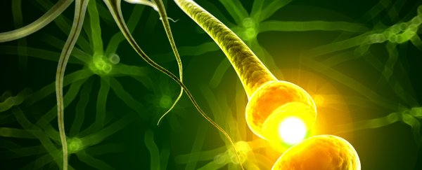 New study suggests Alzheimer’s patients could restore lost memories