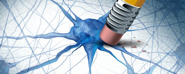 Scientists have found a way to fight Alzheimer’s in mice