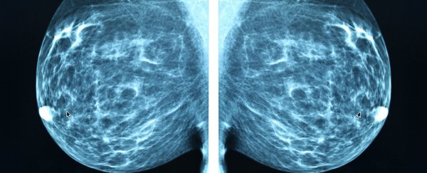 Scientists may have found a way to stop breast cancer spreading to the bones