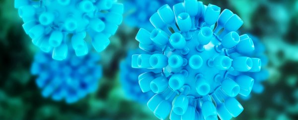 A new HPV vaccine prevents nine strains of the virus