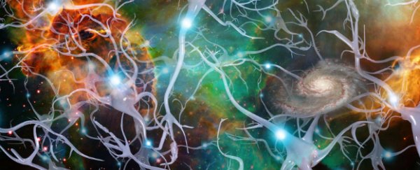 This molecule could be the key to unlocking super-memory in our brains
