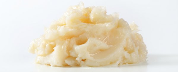 A new drug turns 'bad’ white fat into ‘good’ brown fat