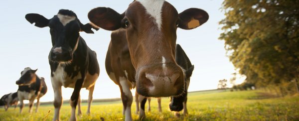 Scientists have created an organic farm that stores more carbon than it emits