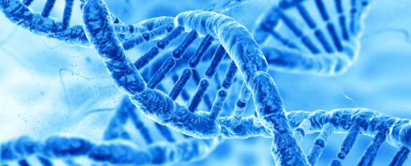 New study suggests only 8.2% of our DNA is functional