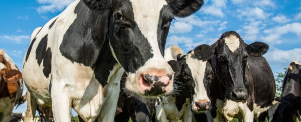 Farming is now worse for the planet than deforestation