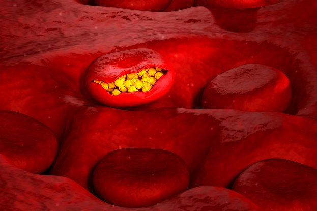 New Drug Eliminates The Malaria Parasite Within 48 Hours in Mice