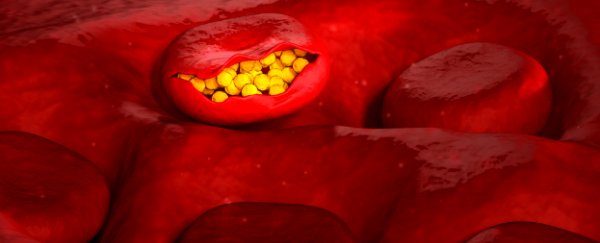 New drug eliminates the malaria parasite within 48 hours in mice
