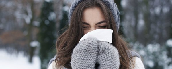 Why does your nose run when it's cold?