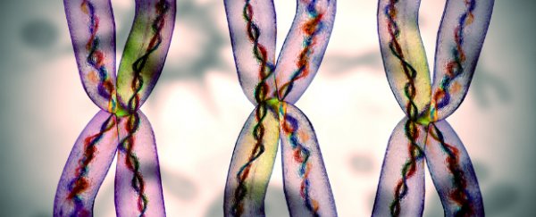 World-first evidence suggests that meditation alters cancer survivors’ cells
