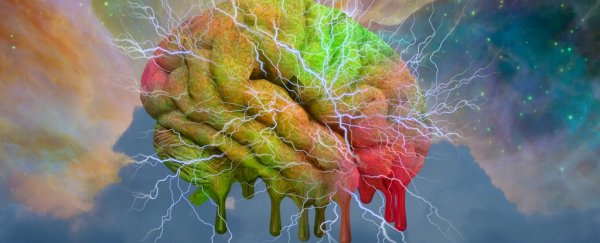 Scientists are testing psychedelic drugs on human minibrains, with surprising results