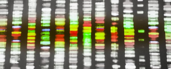 DNA test claims to predict sexual orientation, but experts advise caution