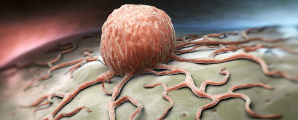 Activating a single gene reverses colon cancer growth in mice in just 4 days