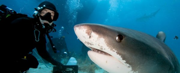 Selfies have killed more people than sharks this year, reports show