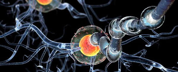 Scientists have discovered brain networks linked to intelligence for the first time