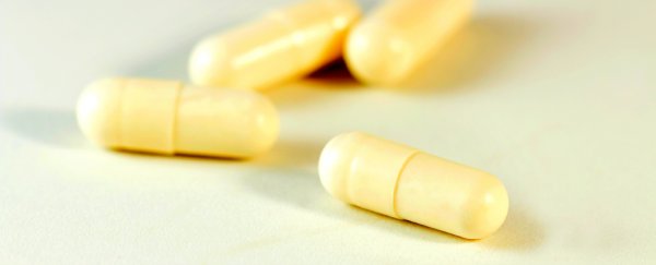 Taking probiotics could make you less stressed and boost your memory, study suggests