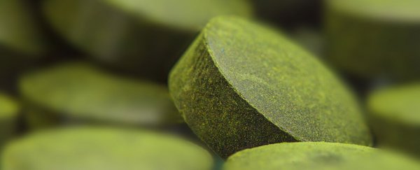Broccoli pills could help fight existing cancers, health experts say