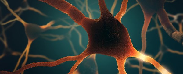 Scientists discover that our brain waves can be sent by electrical fields