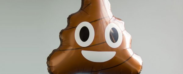 Scientists have determined the exact composition of your poo