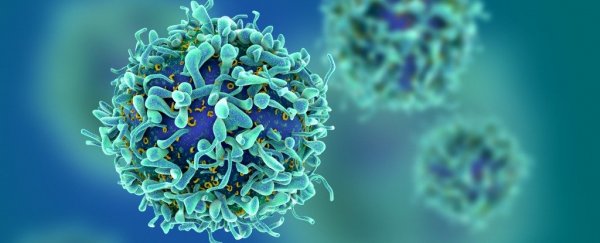 Trials of breakthrough cancer treatment were just put on hold after a patient's death