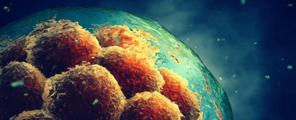 Experts Cast Doubt on Groundbreaking CRISPR Embryo Editing Research