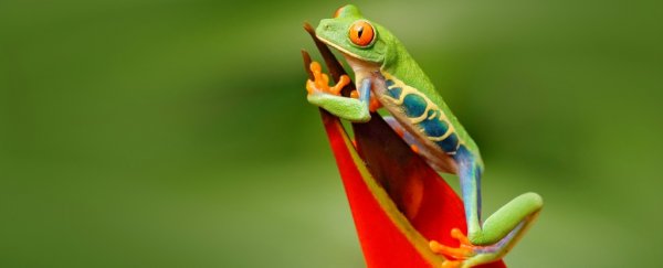 14 myths about animals we all need to stop getting wrong