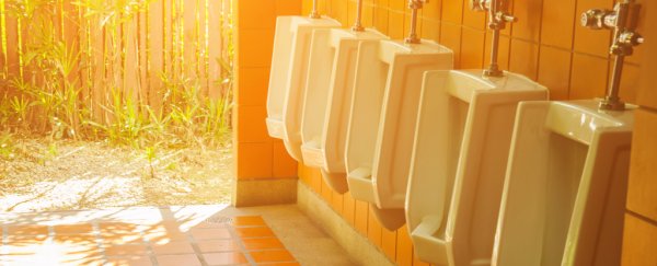Turning urine into electricity can also kill pathogens in wastewater