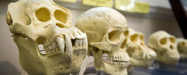 Here's why we should actually listen to creationists about evolution