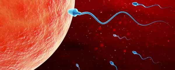 Here's what that sperm concentration study actually means for humans