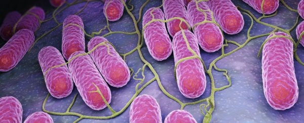 We're one step closer to understanding the inner workings of bacteria's complicated proteins