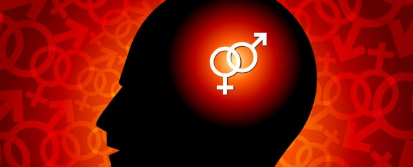 Brain ‘gender’ is more fluid than originally thought, research reveals