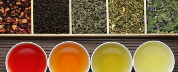 Here's the science on whether skinny teas actually boost weight loss
