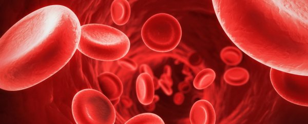 New discovery changes everything we know about how blood is made
