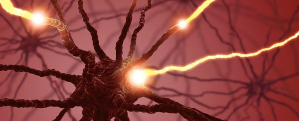 Scientists may have found the most likely culprit so far for schizophrenia