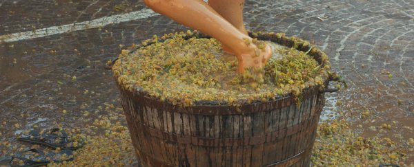 Robotic cars could predict how much wine you’ll be drinking this vintage