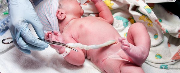 Cutting a baby’s umbilical cord 2 minutes later can improve development
