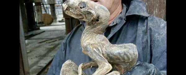 The strangest creature just got unearthed from a Siberian diamond mine