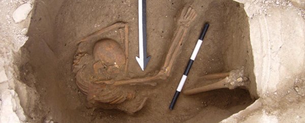 DNA analysis has solved the mystery of whether Canaanite descendants live on