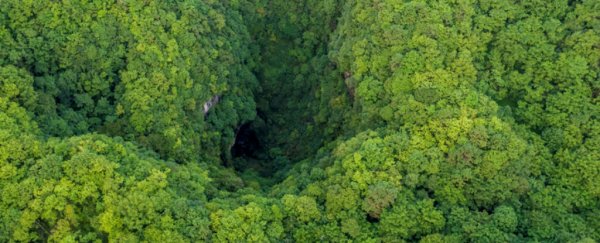 Scientists have found the world's largest cluster of sinkholes, and it spans 4 counties