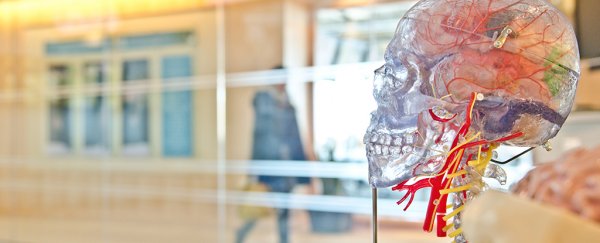 These are the four stages of your brain on maths