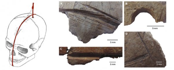 These 11,000 year old carved bones are evidence of an ancient skull cult