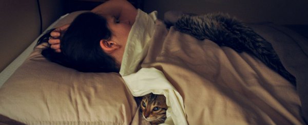 4 things you can actually learn while you sleep