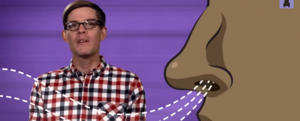WATCH: How many smells can you smell?