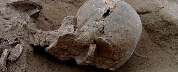 Humans have been massacring each other for at least 10,000 years, new evidence suggests